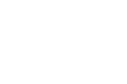 SEEturtles.org